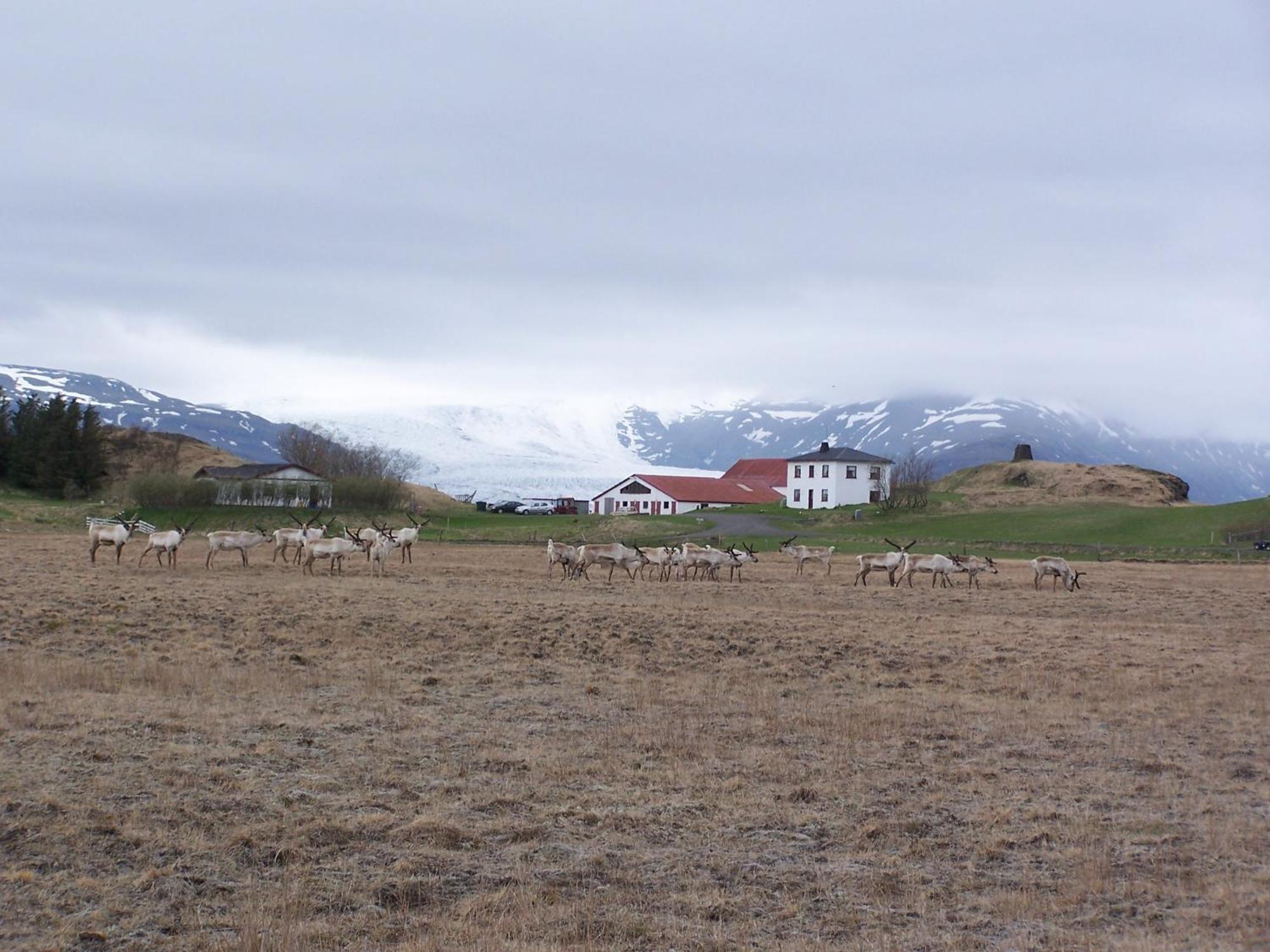Guesthouse Hólmur Zewnętrze zdjęcie