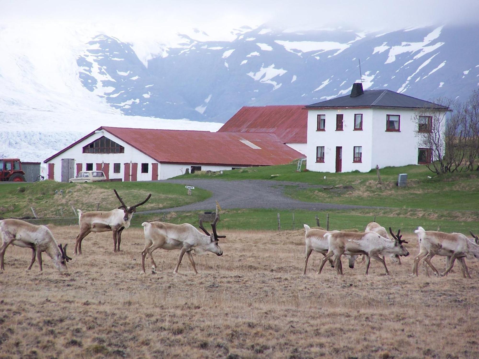 Guesthouse Hólmur Zewnętrze zdjęcie