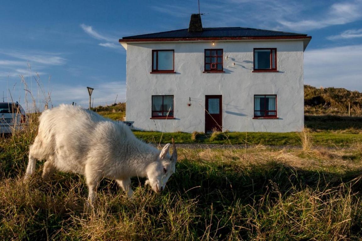Guesthouse Hólmur Zewnętrze zdjęcie